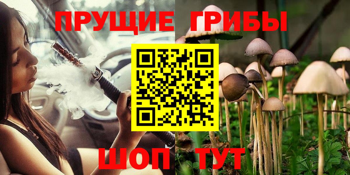 Псилоцибиновые грибы Psilocybe  Вход с VPN  Галлюциногенные грибы Magic Shrooms  Калач-на-Дону 